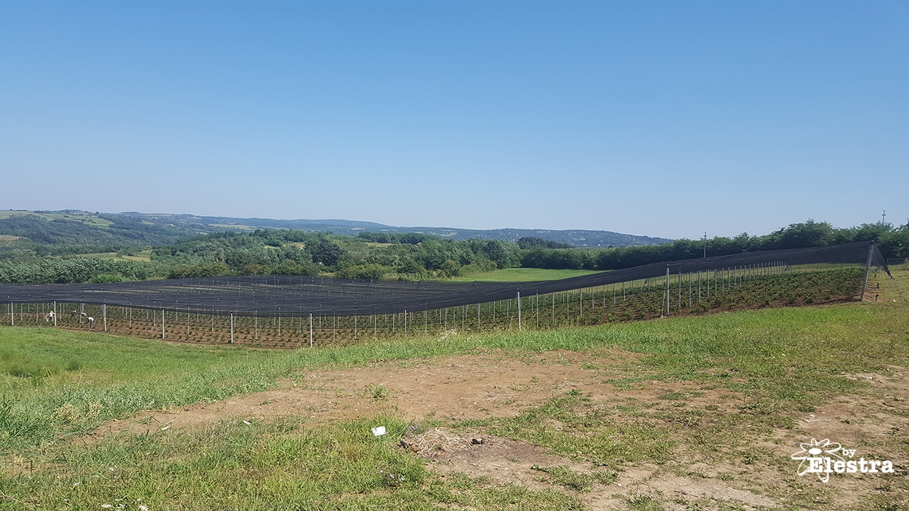 Protivgradna i protivkišna zaštita